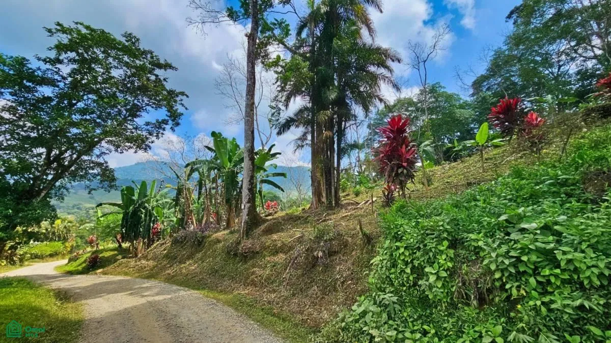 Stunning Property East of Cana Blanca near Tinamaste , Tinamaste, Perez Zeledon, San Jose, photo 12
