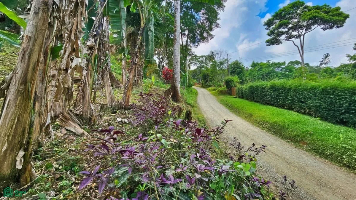 Stunning Property East of Cana Blanca near Tinamaste , Tinamaste, Perez Zeledon, San Jose, photo 13