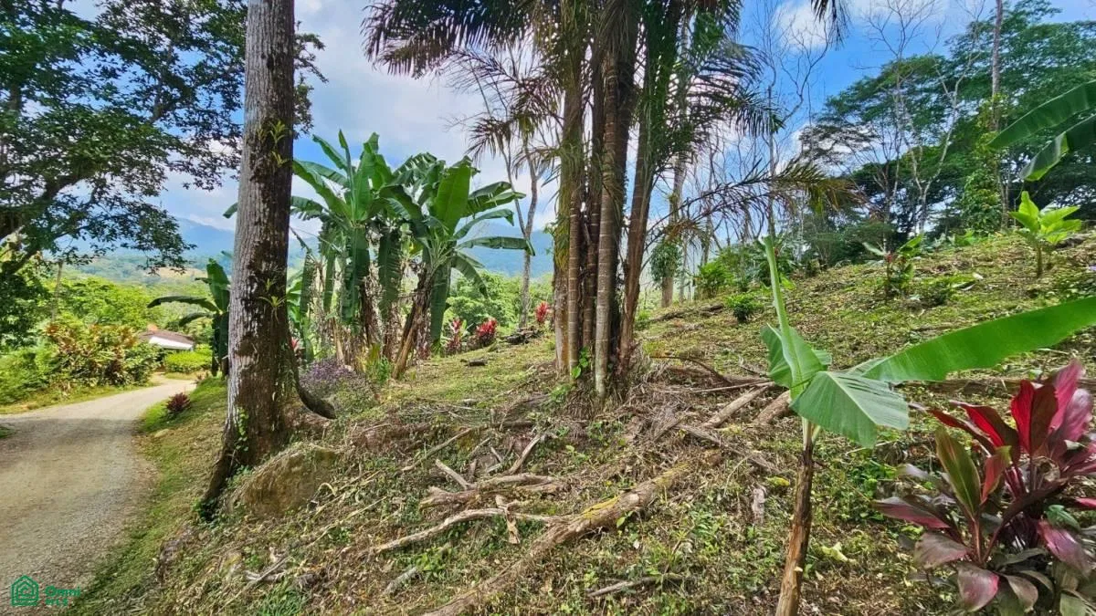 Stunning Property East of Cana Blanca near Tinamaste , Tinamaste, Perez Zeledon, San Jose, photo 14