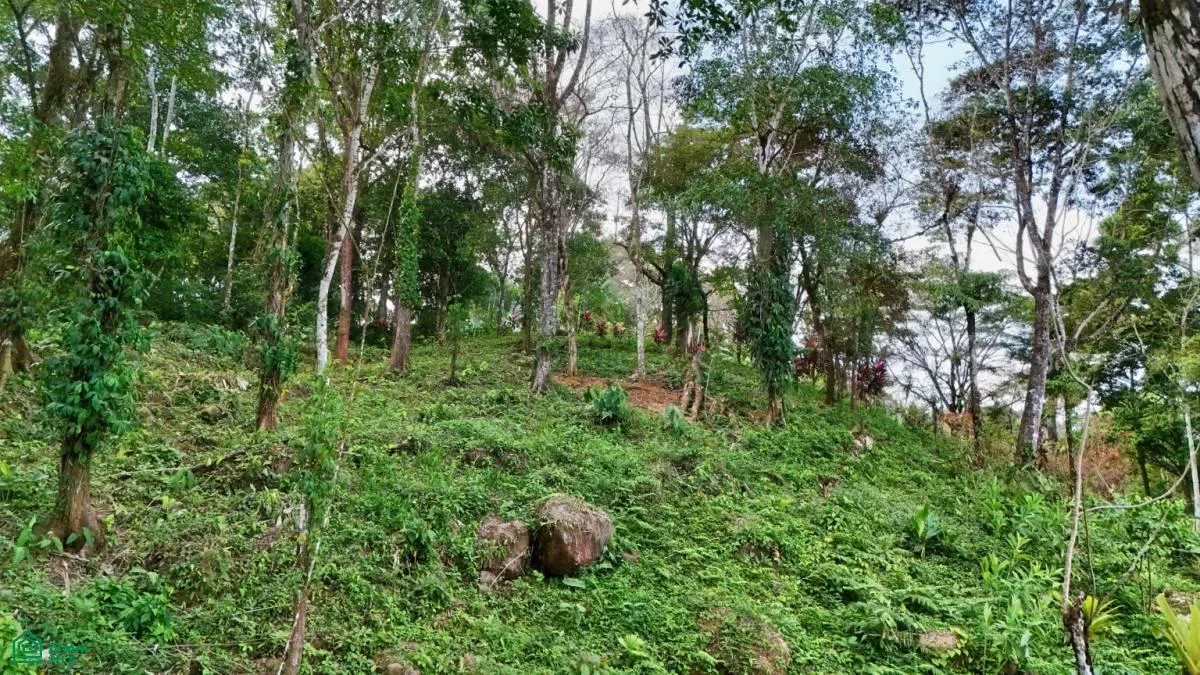 Stunning Property East of Cana Blanca near Tinamaste , Tinamaste, Perez Zeledon, San Jose, photo 15