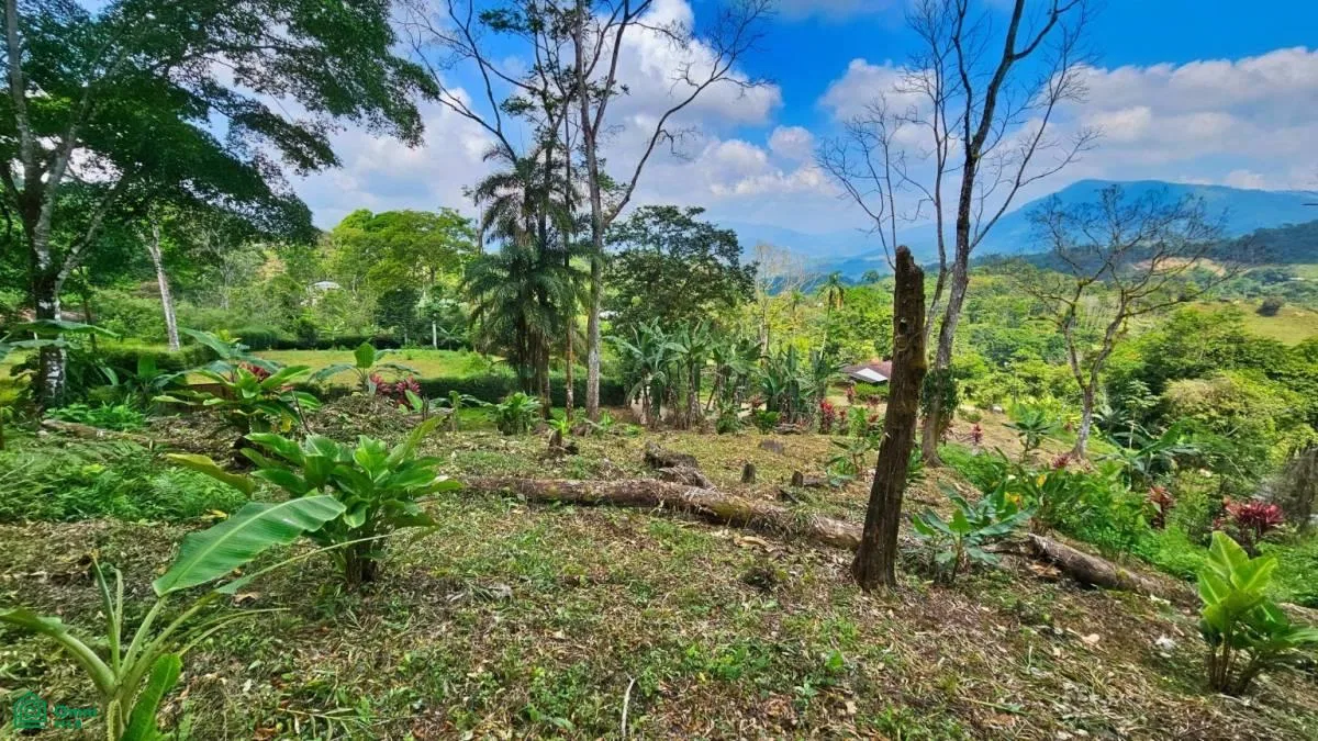 Stunning Property East of Cana Blanca near Tinamaste , Tinamaste, Perez Zeledon, San Jose, photo 3