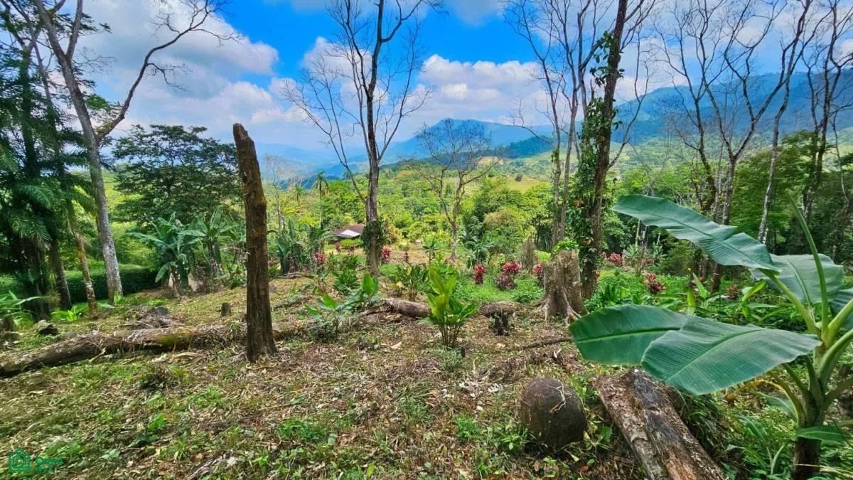 Stunning Property East of Cana Blanca near Tinamaste , Tinamaste, Perez Zeledon, San Jose, photo 4