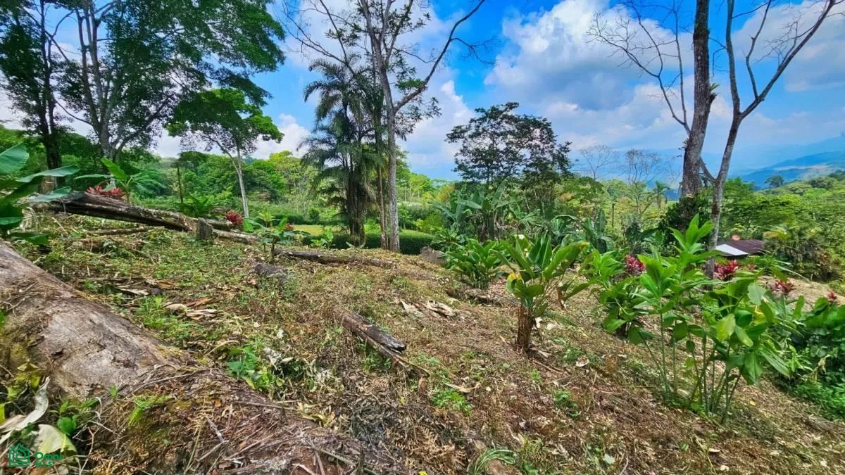 Stunning Property East of Cana Blanca near Tinamaste , Tinamaste, Perez Zeledon, San Jose, photo 5
