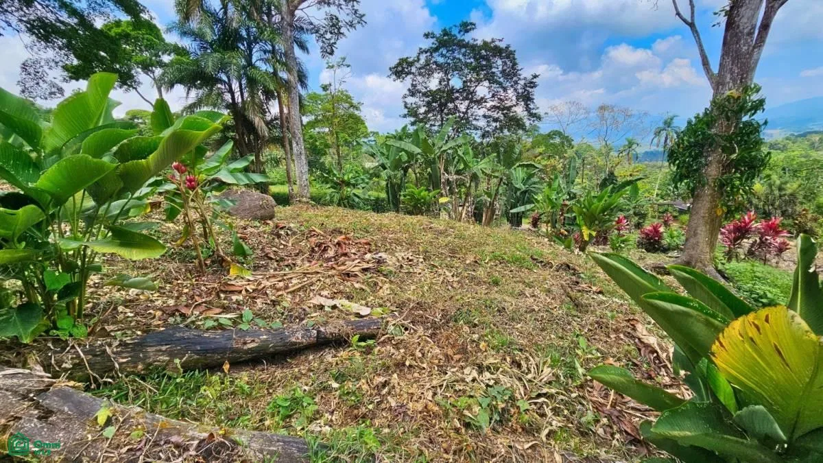 Stunning Property East of Cana Blanca near Tinamaste , Tinamaste, Perez Zeledon, San Jose, photo 6