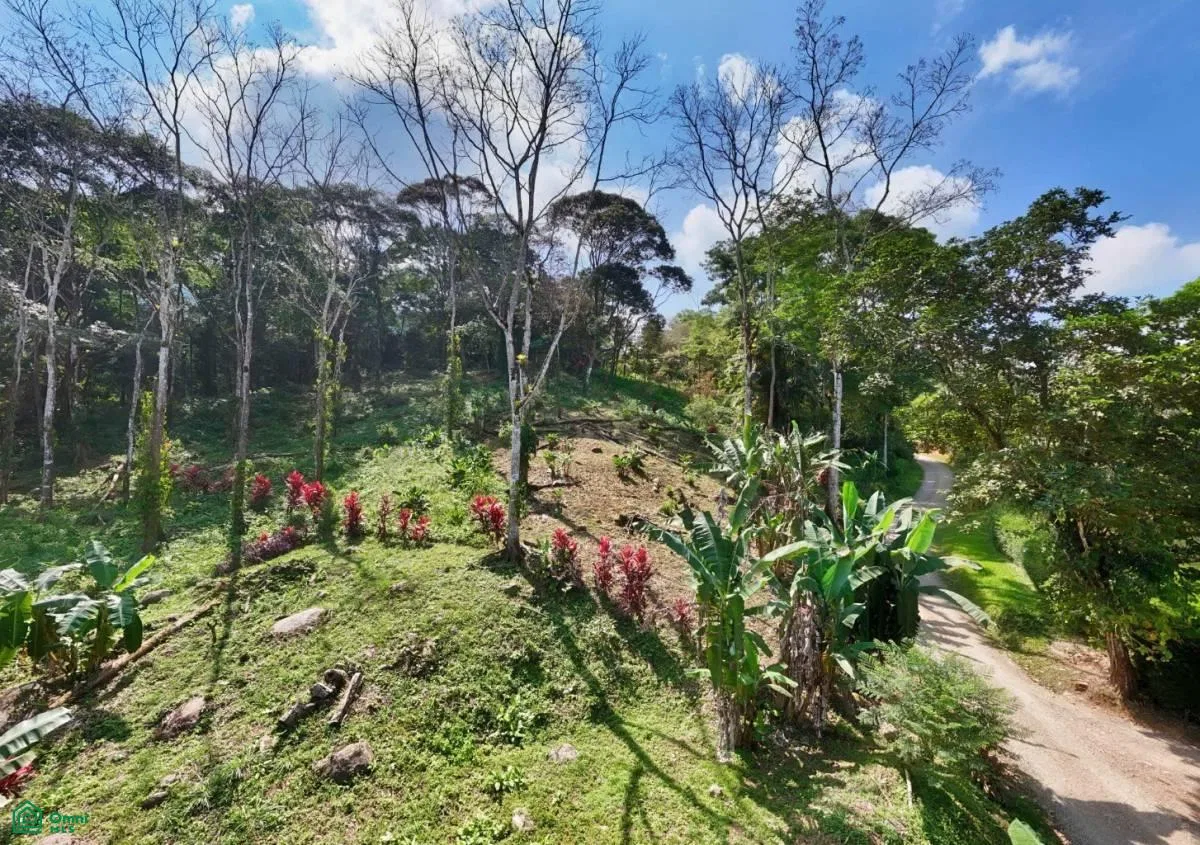 Stunning Property East of Cana Blanca near Tinamaste , Tinamaste, Perez Zeledon, San Jose, photo 9