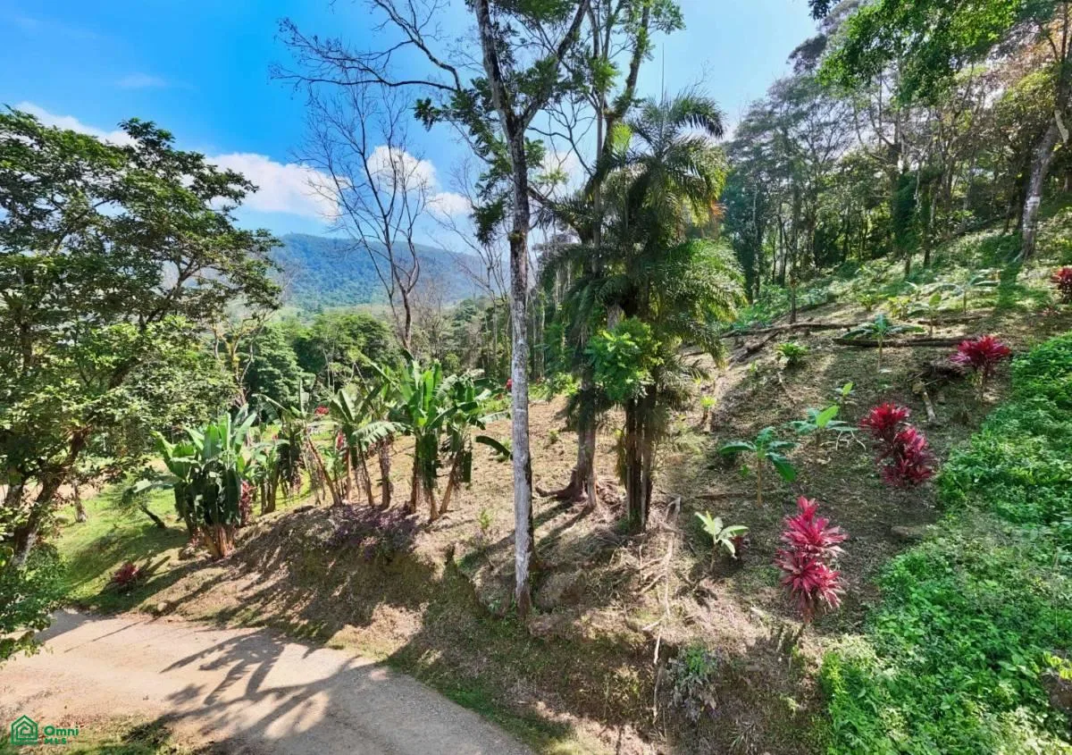 Stunning Property East of Cana Blanca near Tinamaste , Tinamaste, Perez Zeledon, San Jose, photo 10
