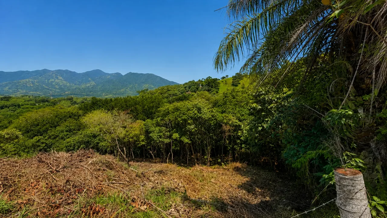 Venta de hermosos lotes en San Pedro de Turrubares, Condominio los Manantiales, photo 2