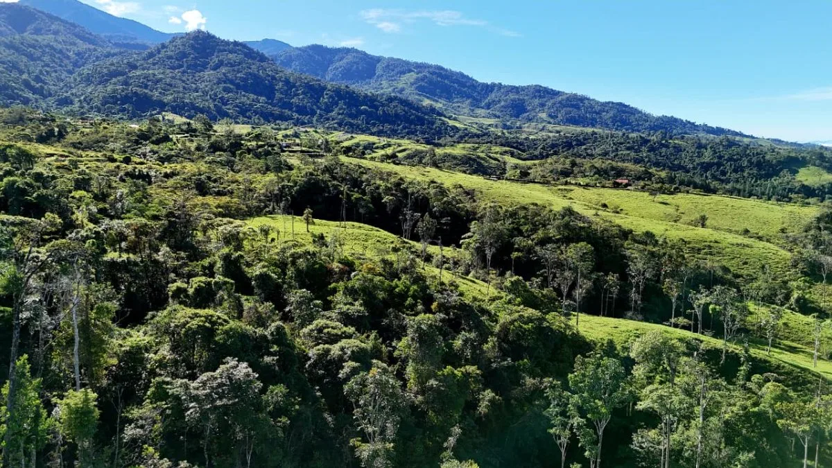VENTA DE MACRO-PROPIEDAD DE 16 HA EN SANTA ELENA HILLS, PEREZ ZELEDON: LA JOYA DE LA CORONA - Venta en Pérez Zeledón, photo 2