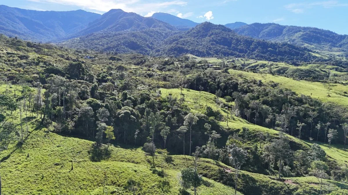 VENTA DE MACRO-PROPIEDAD DE 16 HA EN SANTA ELENA HILLS, PEREZ ZELEDON: LA JOYA DE LA CORONA - Venta en Pérez Zeledón, photo 11