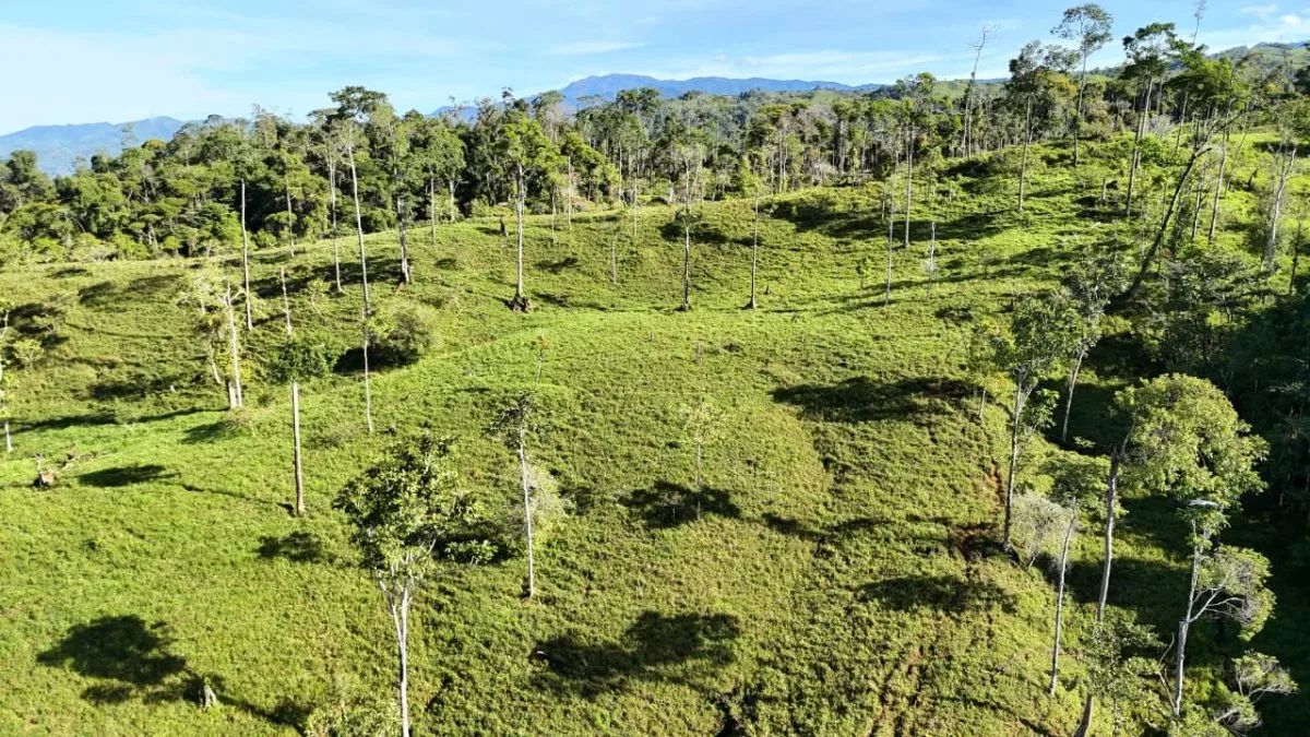 VENTA DE MACRO-PROPIEDAD DE 16 HA EN SANTA ELENA HILLS, PEREZ ZELEDON: LA JOYA DE LA CORONA - Venta en Pérez Zeledón, photo 12