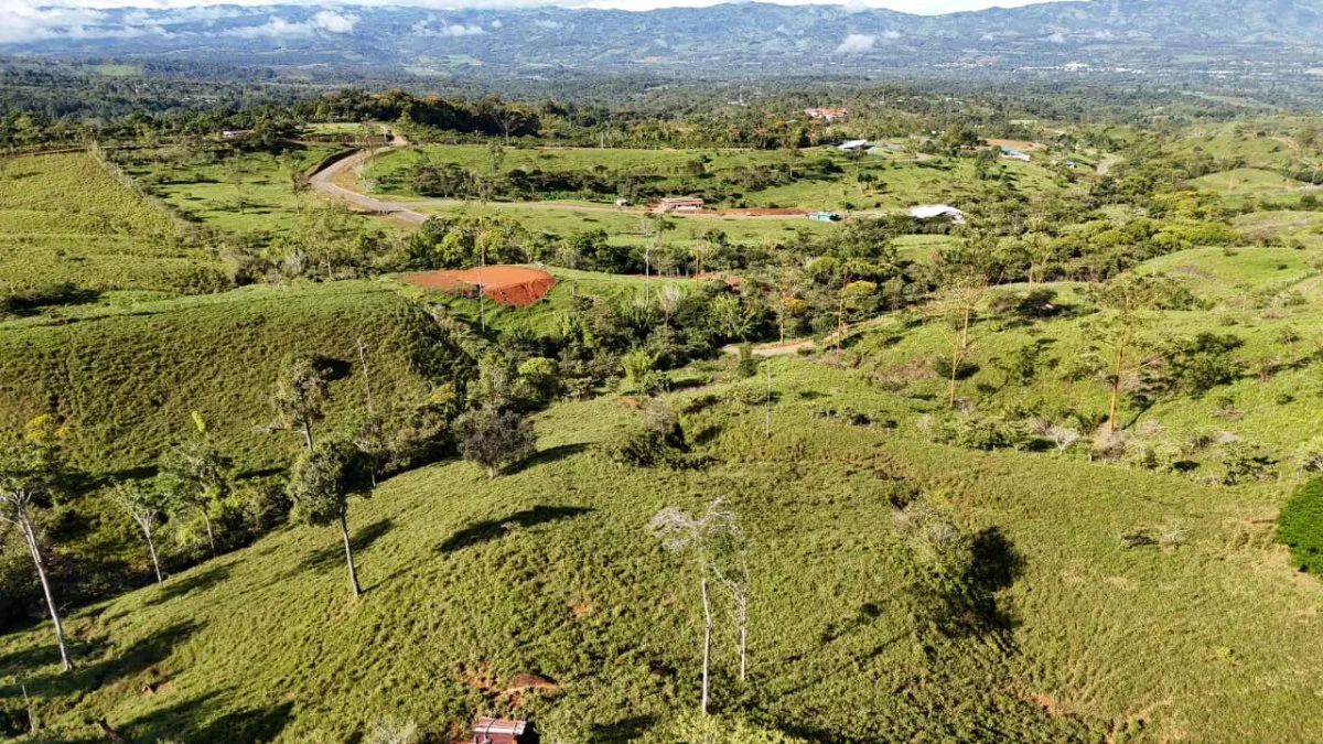 VENTA DE MACRO-PROPIEDAD DE 16 HA EN SANTA ELENA HILLS, PEREZ ZELEDON: LA JOYA DE LA CORONA - Venta en Pérez Zeledón, photo 13