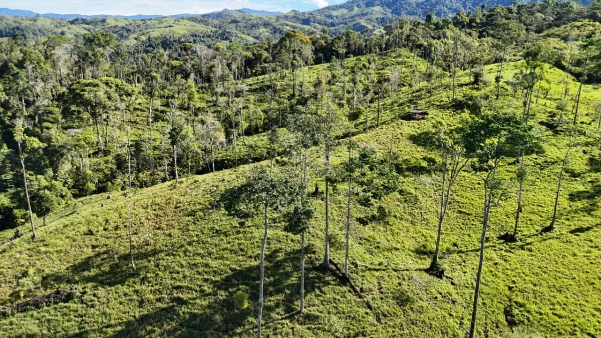 VENTA DE MACRO-PROPIEDAD DE 16 HA EN SANTA ELENA HILLS, PEREZ ZELEDON: LA JOYA DE LA CORONA - Venta en Pérez Zeledón, photo 14