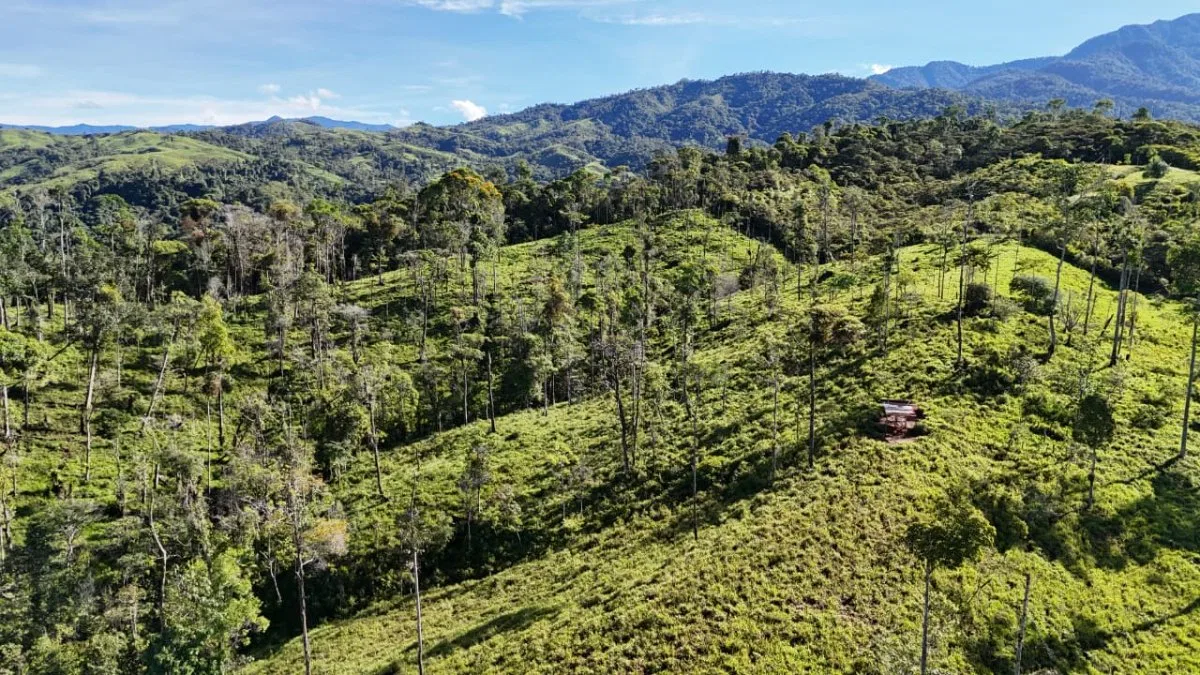 VENTA DE MACRO-PROPIEDAD DE 16 HA EN SANTA ELENA HILLS, PEREZ ZELEDON: LA JOYA DE LA CORONA - Venta en Pérez Zeledón, photo 15