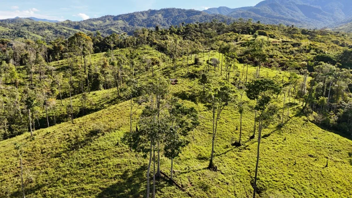 VENTA DE MACRO-PROPIEDAD DE 16 HA EN SANTA ELENA HILLS, PEREZ ZELEDON: LA JOYA DE LA CORONA - Venta en Pérez Zeledón, photo 3