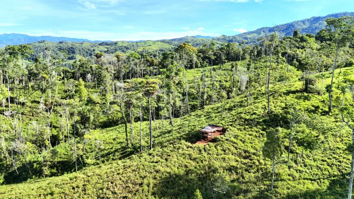 VENTA DE MACRO-PROPIEDAD DE 16 HA EN SANTA ELENA HILLS, PEREZ ZELEDON: LA JOYA DE LA CORONA - Venta en Pérez Zeledón, photo 4