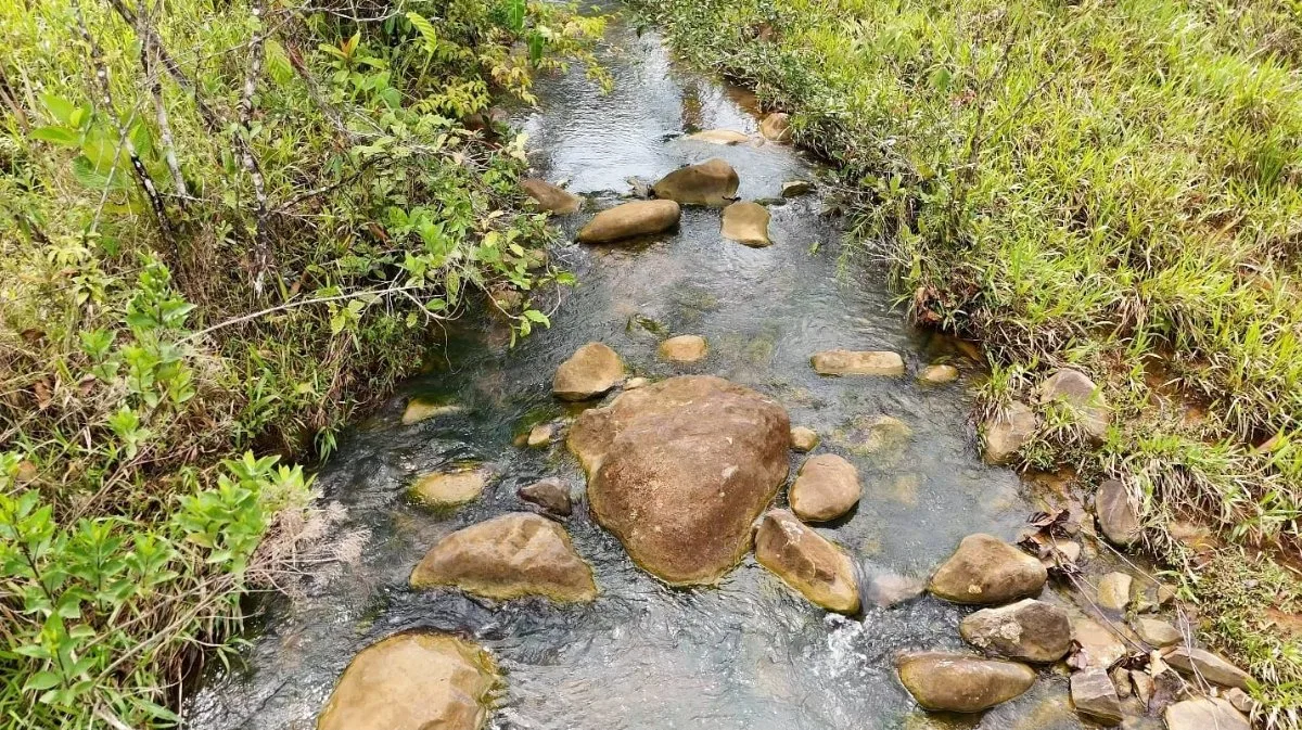 VENTA DE MACRO-PROPIEDAD DE 16 HA EN SANTA ELENA HILLS, PEREZ ZELEDON: LA JOYA DE LA CORONA - Venta en Pérez Zeledón, photo 5