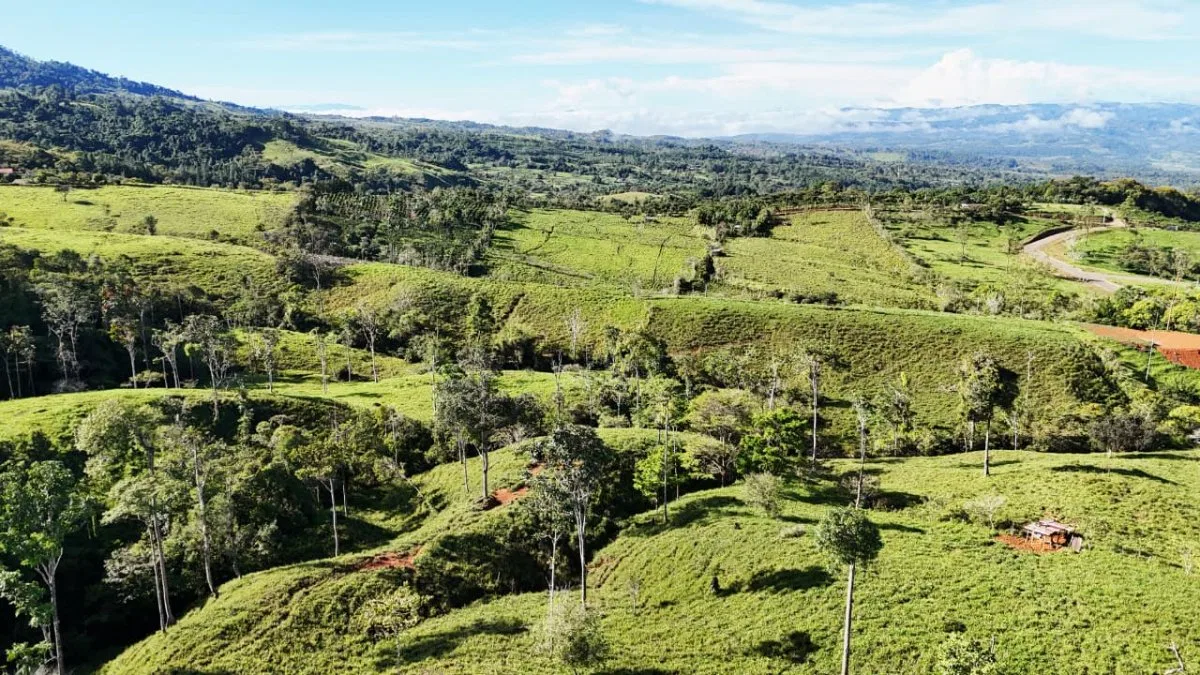 VENTA DE MACRO-PROPIEDAD DE 16 HA EN SANTA ELENA HILLS, PEREZ ZELEDON: LA JOYA DE LA CORONA - Venta en Pérez Zeledón, photo 6
