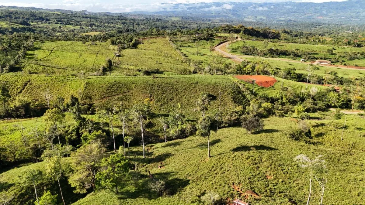 VENTA DE MACRO-PROPIEDAD DE 16 HA EN SANTA ELENA HILLS, PEREZ ZELEDON: LA JOYA DE LA CORONA - Venta en Pérez Zeledón, photo 7