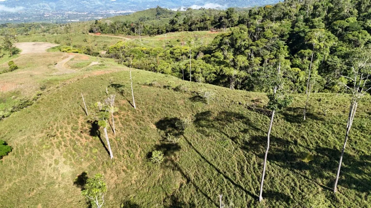 VENTA DE MACRO-PROPIEDAD DE 16 HA EN SANTA ELENA HILLS, PEREZ ZELEDON: LA JOYA DE LA CORONA - Venta en Pérez Zeledón, photo 9