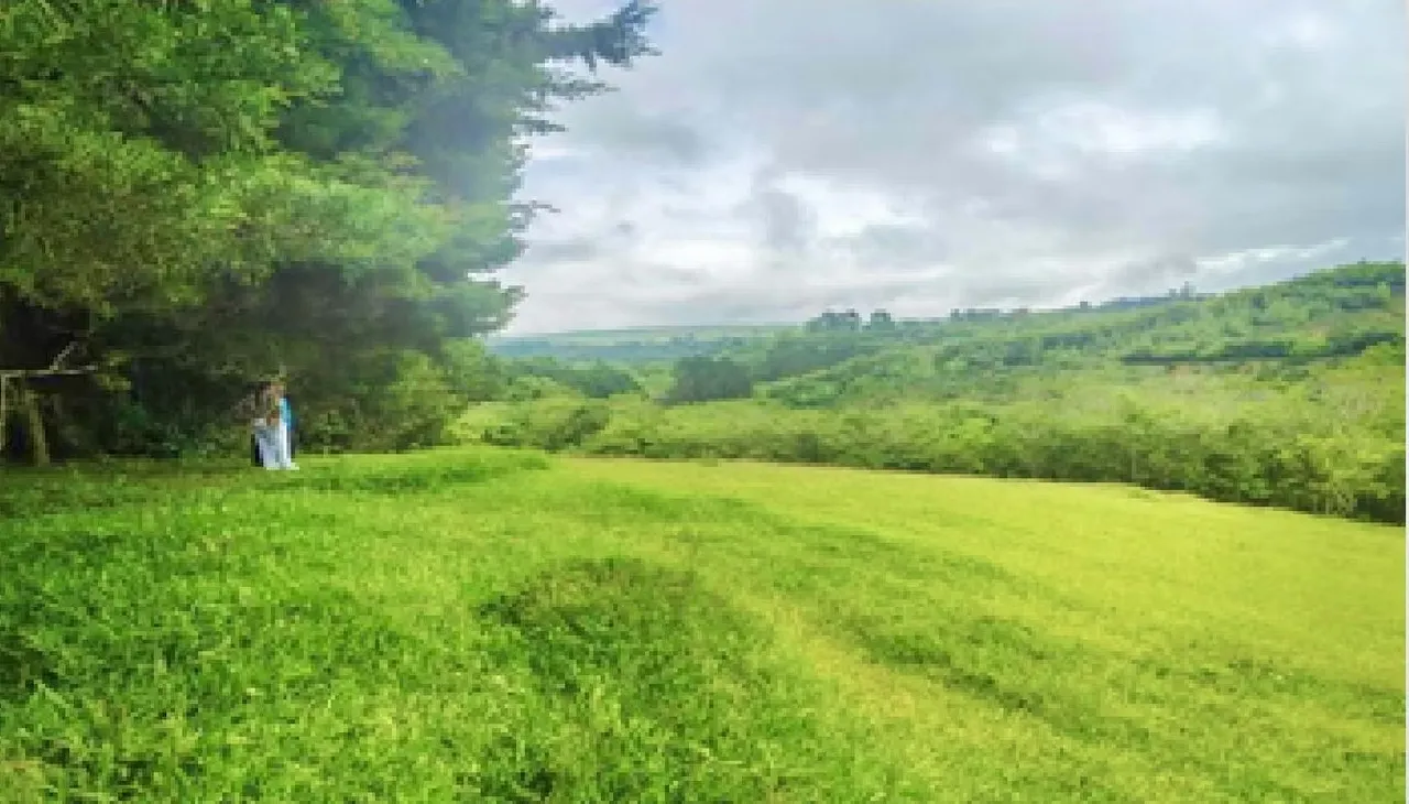 Spectacular 46,500 m² farm for sale (approx. 4.65 hectares / 11.5 acres), located in ..., photo 11