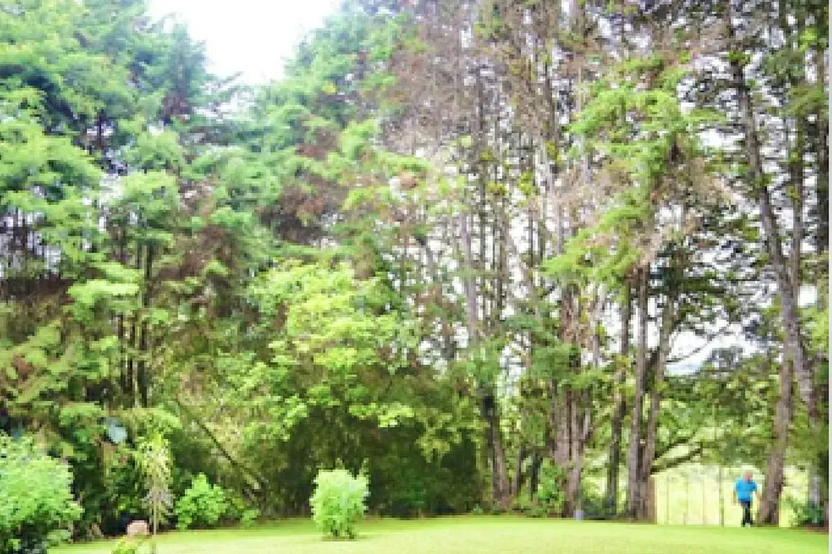 Spectacular 46,500 m² farm for sale (approx. 4.65 hectares / 11.5 acres), located in ..., photo 12