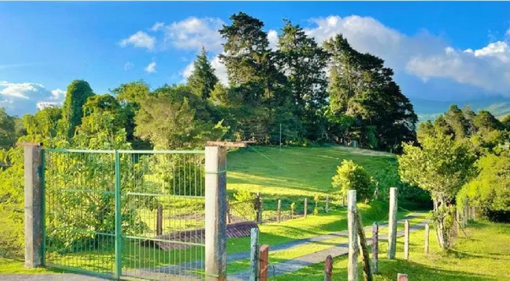 Spectacular 46,500 m² farm for sale (approx. 4.65 hectares / 11.5 acres), located in ..., photo 3