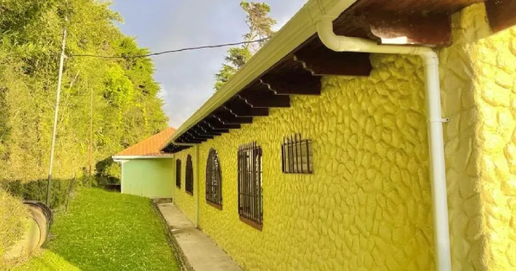 Spectacular 46,500 m² farm for sale (approx. 4.65 hectares / 11.5 acres), located in ..., photo 5