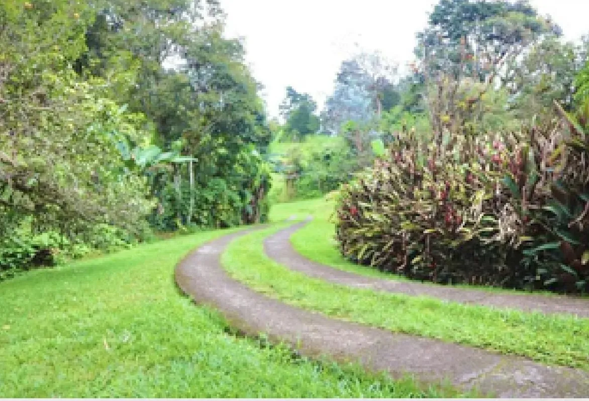Spectacular 46,500 m² farm for sale (approx. 4.65 hectares / 11.5 acres), located in ..., photo 8