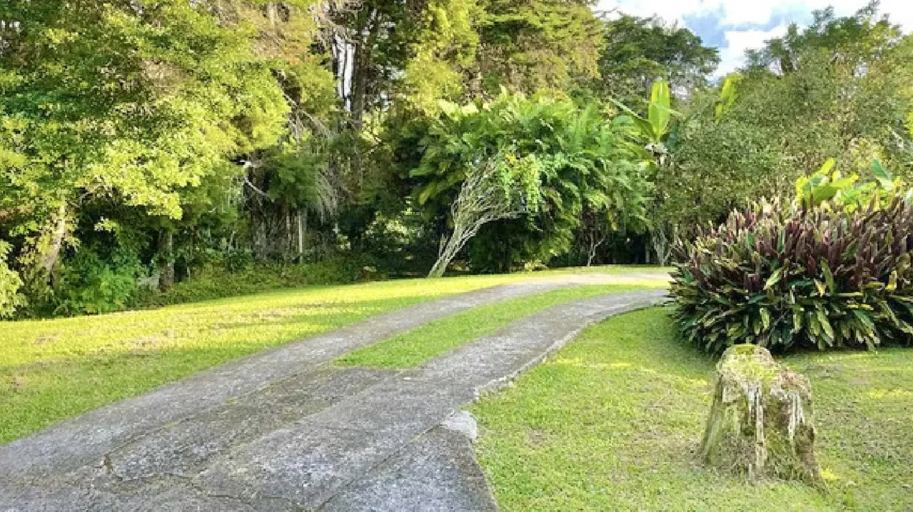 Spectacular 46,500 m² farm for sale (approx. 4.65 hectares / 11.5 acres), located in ..., photo 9
