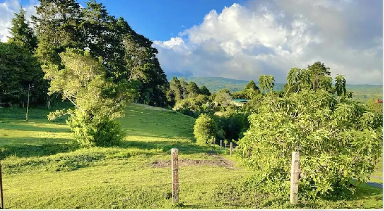 Spectacular 46,500 m² farm for sale (approx. 4.65 hectares / 11.5 acres), located in ..., photo 10