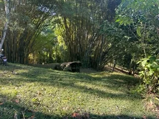 17 ACRES PROPERTY IN BARU MINUTES TO DOMINICAL BEACH, photo 2