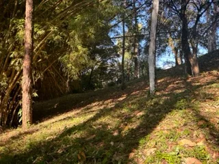17 ACRES PROPERTY IN BARU MINUTES TO DOMINICAL BEACH, photo 3