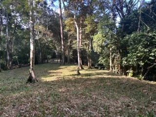 17 ACRES PROPERTY IN BARU MINUTES TO DOMINICAL BEACH, photo 4