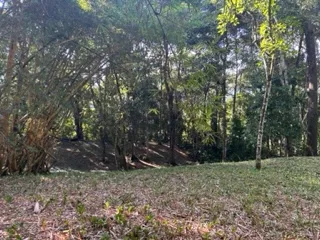17 ACRES PROPERTY IN BARU MINUTES TO DOMINICAL BEACH, photo 5