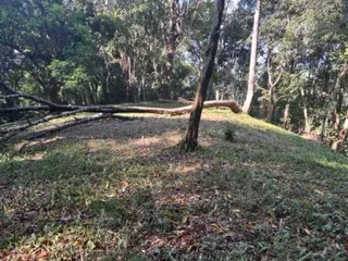 17 ACRES PROPERTY IN BARU MINUTES TO DOMINICAL BEACH, photo 6