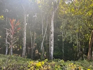 17 ACRES PROPERTY IN BARU MINUTES TO DOMINICAL BEACH, photo 7
