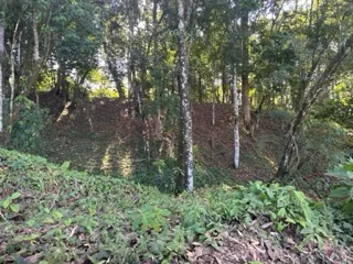 17 ACRES PROPERTY IN BARU MINUTES TO DOMINICAL BEACH, photo 8