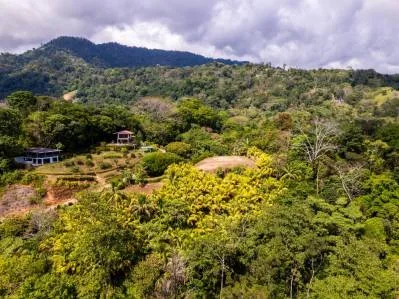 Finca costera de ultra lujo con vistas icónicas a la cola de ballena, photo 6