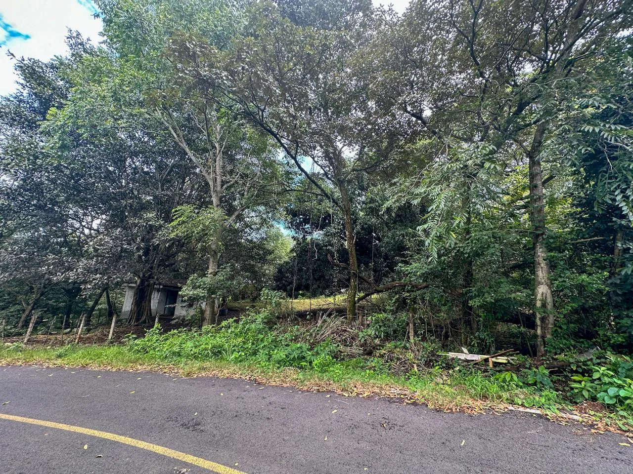 🌳 Lote en Venta en Turrúcares de Alajuela: El lugar perfecto para construir el proyecto que imaginas, photo 2
