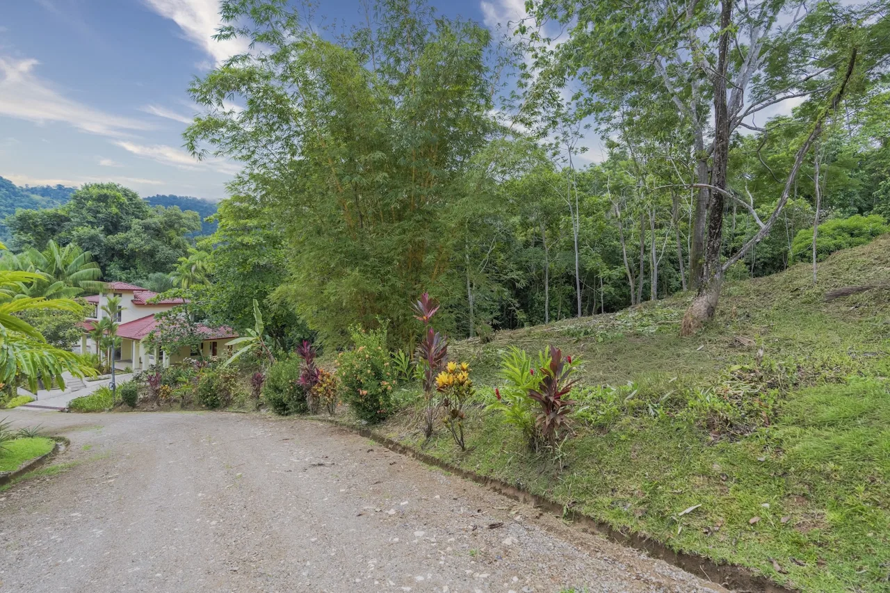 RESIDENTIAL LOT READY FOR CONSTRUCTION IN PALMERA DEL TRÓPICO, OJOCHAL – 0.35 ACRES, photo 4