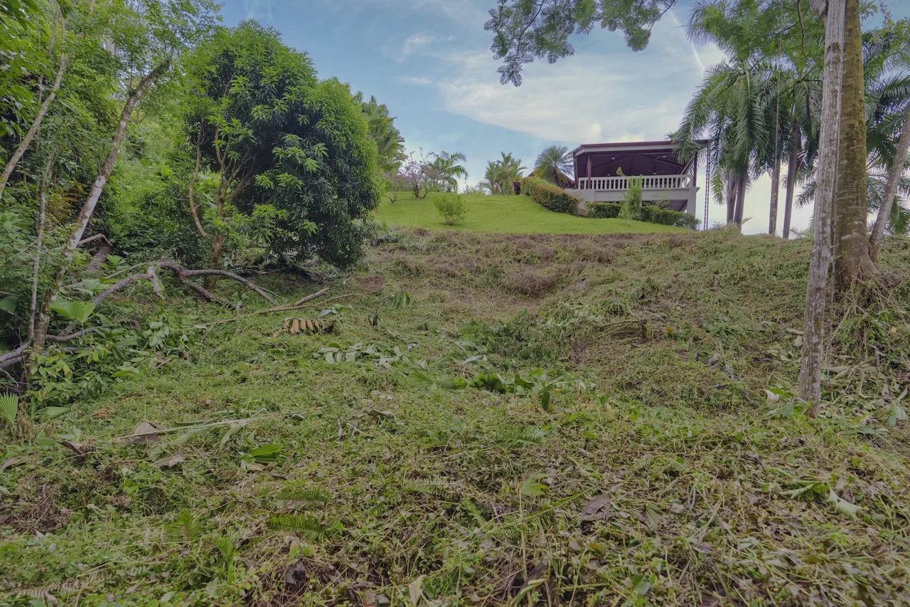 RESIDENTIAL LOT READY FOR CONSTRUCTION IN PALMERA DEL TRÓPICO, OJOCHAL – 0.35 ACRES, photo 5