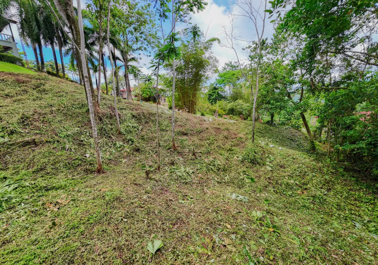 RESIDENTIAL LOT READY FOR CONSTRUCTION IN PALMERA DEL TRÓPICO, OJOCHAL – 0.35 ACRES, photo 6
