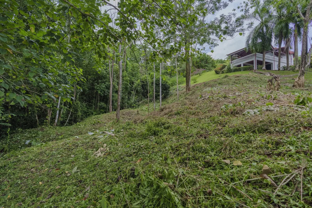 RESIDENTIAL LOT READY FOR CONSTRUCTION IN PALMERA DEL TRÓPICO, OJOCHAL – 0.35 ACRES, photo 7
