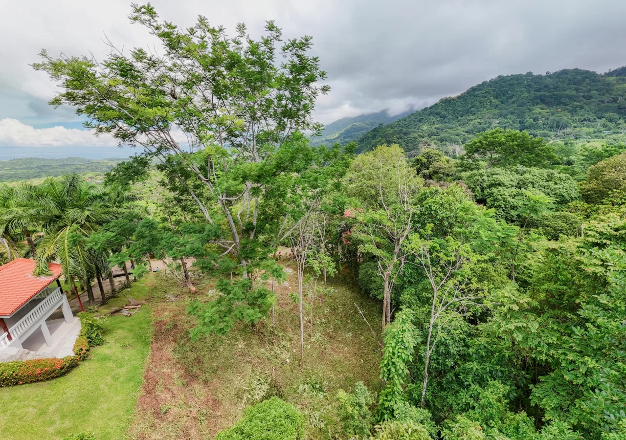 RESIDENTIAL LOT READY FOR CONSTRUCTION IN PALMERA DEL TRÓPICO, OJOCHAL – 0.35 ACRES, photo 9