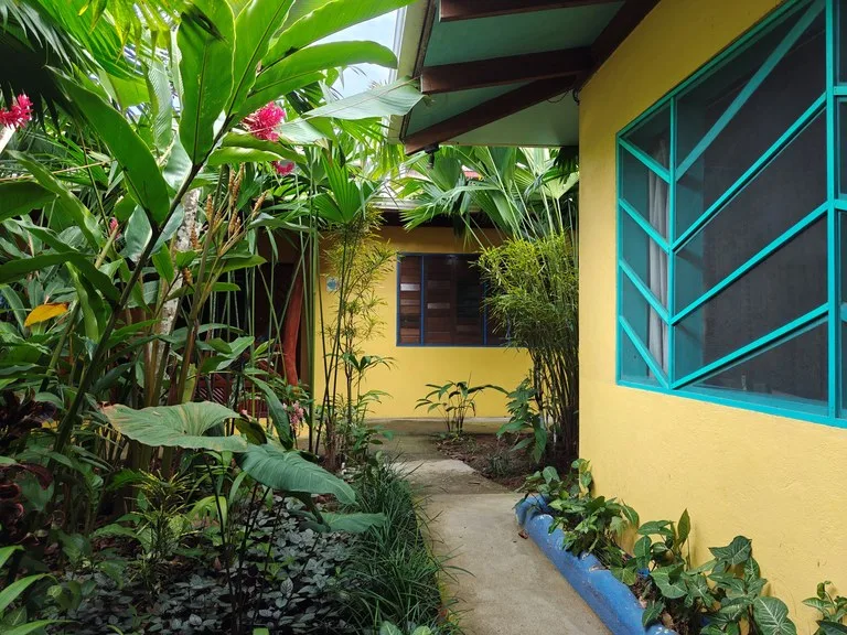 Multiplex in Puerto Viejo, photo 13