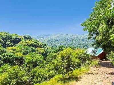 Granja frutícola con vista al valle de la cascada de 80 pies con cabaña, photo 3