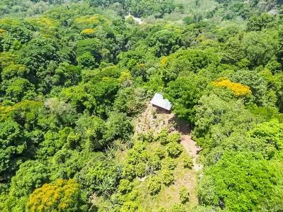 Granja frutícola con vista al valle de la cascada de 80 pies con cabaña, photo 4