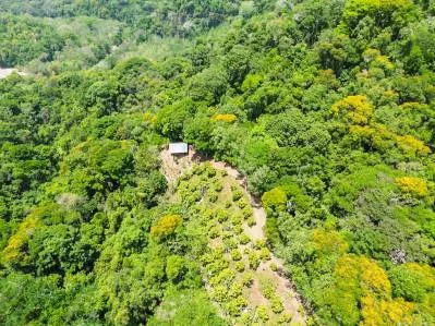 Granja frutícola con vista al valle de la cascada de 80 pies con cabaña, photo 5