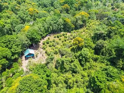 Granja frutícola con vista al valle de la cascada de 80 pies con cabaña, photo 7