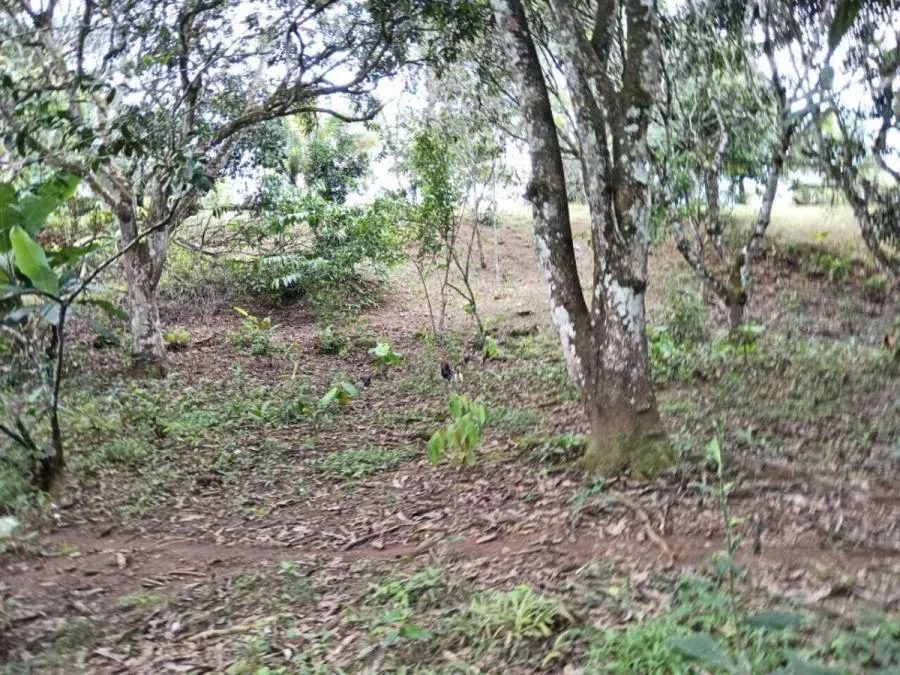 Venta de Casa + Lote en Pérez Zeledón, San José. RAH 25-1281 - Venta en Perez Zeledón, photo 6